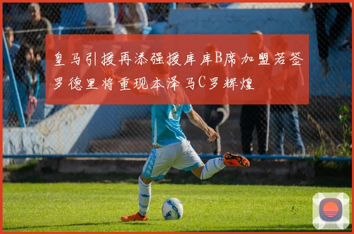 皇马引援再添强援库库B席加盟若签罗德里将重现本泽马C罗辉煌