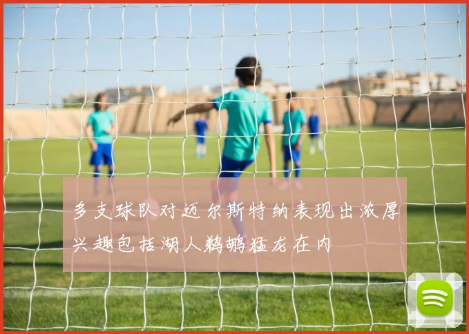 多支球队对迈尔斯特纳表现出浓厚兴趣包括湖人鹈鹕猛龙在内